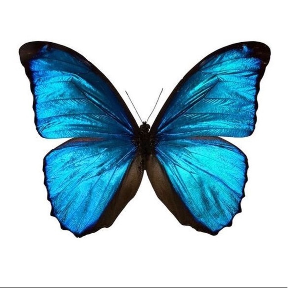 Meet your Posher, Kathia